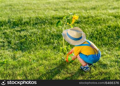 Portrait of toddler child outdoors. Rural scene with one year old baby boy wearing straw hat using watering can for sunflower