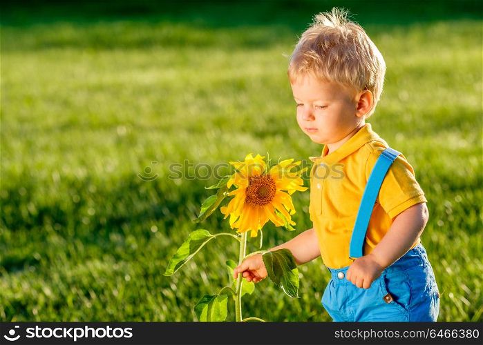 Portrait of toddler child outdoors. Rural scene with one year old baby boy looking at sunflower