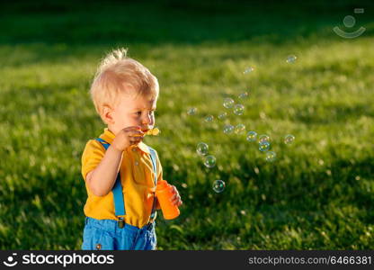 Portrait of toddler child outdoors. Rural scene with one year old baby boy blowing soap bubbles. Healthy preschool children summer activity. Kid playing outside.