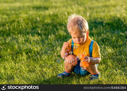 Portrait of toddler child outdoors. Rural scene with one year old baby boy blowing soap bubbles. Healthy preschool children summer activity. Kid playing outside.