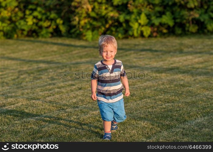 Portrait of toddler child outdoors. Rural scene with one year old baby boy running on meadow. Healthy preschool children summer activity. Kid playing outside.
