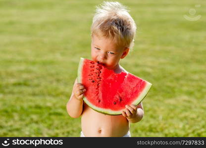 Portrait of toddler child outdoors. Rural scene with one year old baby boy eating watermelon slice in the garden. 