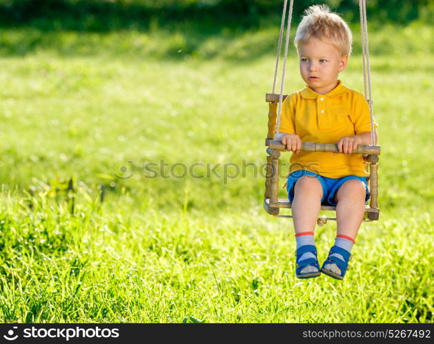 Portrait of toddler child swinging outdoors. Rural scene with one year old baby boy at swing. Healthy preschool children summer activity. Kid playing outside.