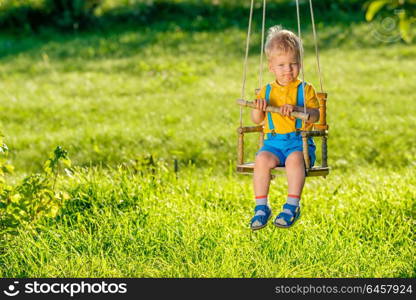 Portrait of toddler child swinging outdoors. Rural scene with one year old baby boy at swing. Healthy preschool children summer activity. Kid playing outside.