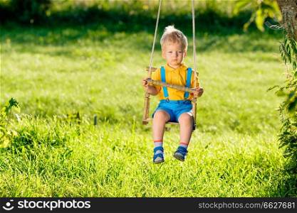 Portrait of toddler child swinging outdoors. Rural scene with one year old baby boy at swing. Healthy preschool children summer activity. Kid playing outside. 