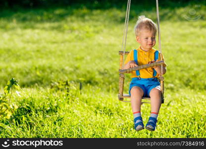 Portrait of toddler child swinging outdoors. Rural scene with one year old baby boy at swing. Healthy preschool children summer activity. Kid playing outside.