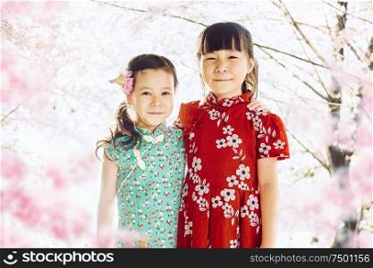 Portrait of two adorable little asian sisters with abstract blured cherry blossoms or sakura flower tree background . Springtime.