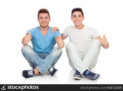 Portrait of two brothers sitting saying Ok isolated on a white background