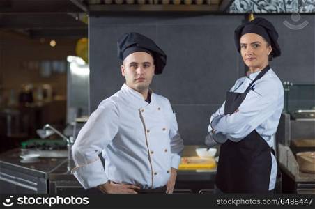 Portrait of two chefs standing together in commercial kitchen at restaurant. Portrait of two chefs
