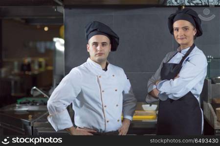 Portrait of two chefs standing together in commercial kitchen at restaurant. Portrait of two chefs