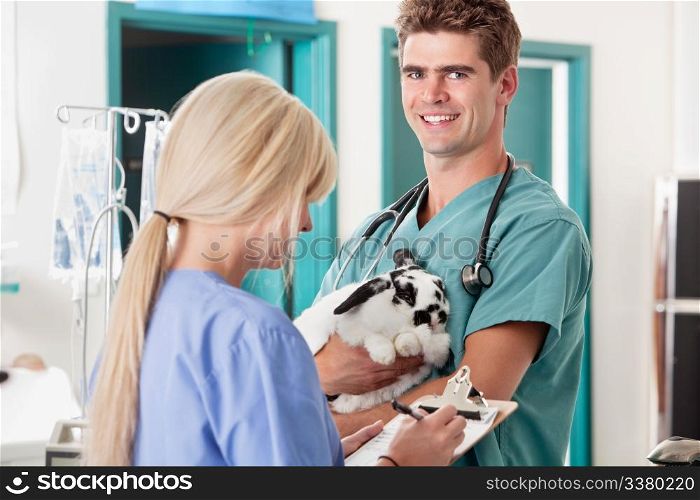 Portrait of veterinarian holding rabbit and his coworker taking report