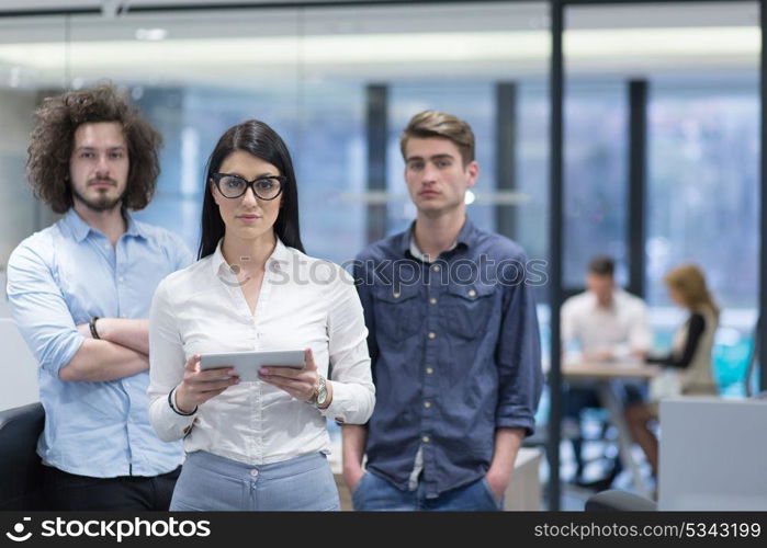 Portrait of young business people discussing business plan in the startup office
