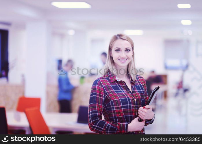 portrait of young business woman at modern startup office interior, team in meeting in background