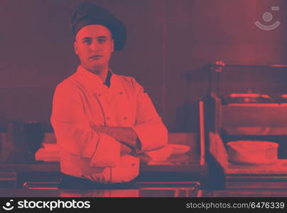 Portrait of young chef standing in commercial kitchen at restaurant. Portrait of young chef