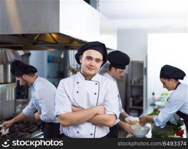 Portrait of young chef standing in commercial kitchen at restaurant. Portrait of young chef