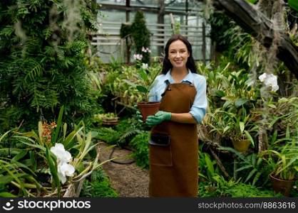 Portrait of young female gardener holding potted plant standing over hothouse gallery background and looking at camera. Portrait of young female gardener holding potted plant