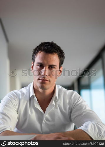 portrait of young happy business man working on laptop computer at home