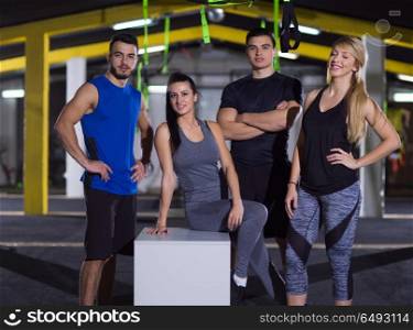 portrait of young healthy athletic people training jumping on fit box at crossfitness gym. portrait of athletes working out jumping on fit box