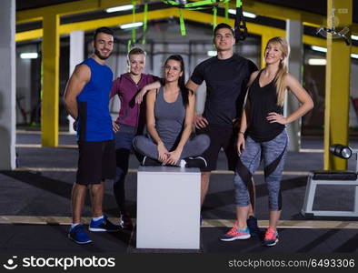 portrait of young healthy athletic people training jumping on fit box at crossfitness gym. portrait of athletes working out jumping on fit box