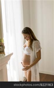 Portrait of young pregnant attractive woman, standing by the window at home