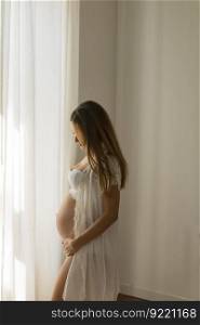Portrait of young pregnant attractive woman, standing by the window at home