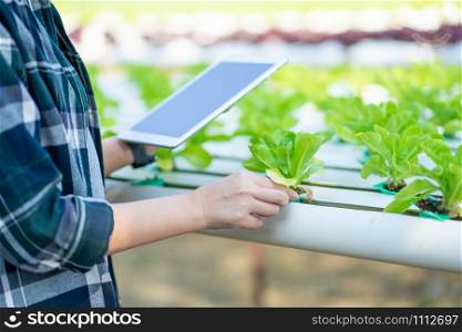 Portrait of young smart farmer using digital tablet computer for inspecting. using technology in agriculture field application in agricultural growing activity and checking quality concept.