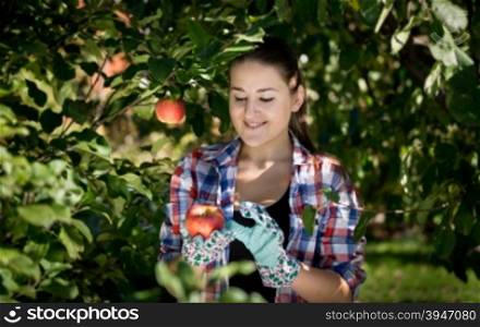 Portrait of young smiling woman picking apples at garden