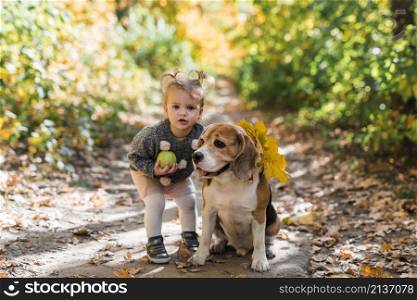 portrait small girl holding ball standing near beagle dog forest