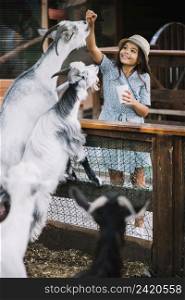 portrait smiling girl feeding chips goat barn