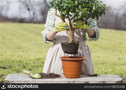 portrait woman gardening. High resolution photo. portrait woman gardening. High quality photo