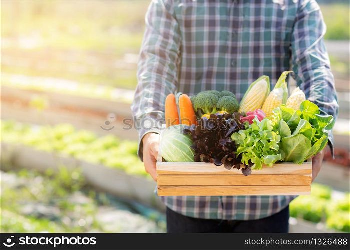 Portrait young asian man smiling harvest and picking up fresh organic vegetable kitchen garden in basket in the hydroponic farm, agriculture and cultivation for healthy food and business concept.
