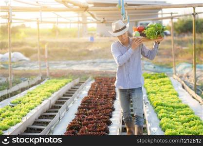 Portrait young asian man walking harvest and picking up fresh organic vegetable garden in basket in the hydroponic farm, agriculture and cultivation for healthy food and business concept.