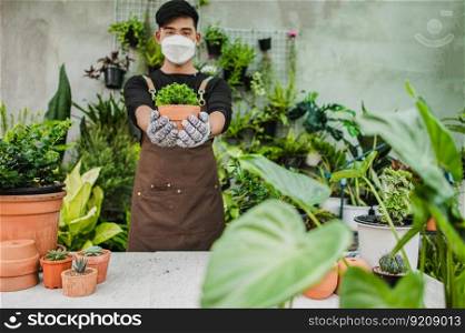 Portrait Young gardener man in face mask and wearing gloves and apron, stand and hold houseplants in pot and looking to camera, small business with tree or Home gardening