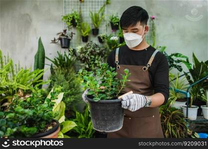 Portrait Young gardener man in face mask and wearing gloves and apron, stand and hold houseplants in pot, small business with tree or Home gardening
