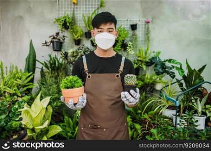 Portrait Young gardener man in face mask wearing gloves and apron show two cactus in hand, houseplants in pot behind him, small business with tree or  Home gardening
