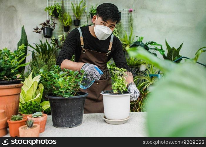 Portrait Young gardener man in face mask wearing gloves and apron spraying water on houseplants in pot and looking to camera, small business with tree or  Home gardening
