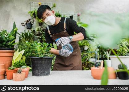 Portrait Young gardener man in face mask wearing gloves and apron spraying water on houseplants in pot and looking to camera, small business with tree or  Home gardening 