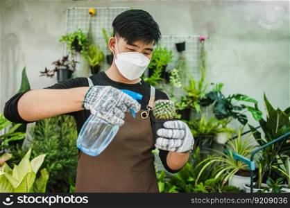 Portrait Young gardener man in face mask wearing gloves and apron spraying water on cactus, houseplants in pot behind him, small business with tree or  Home gardening