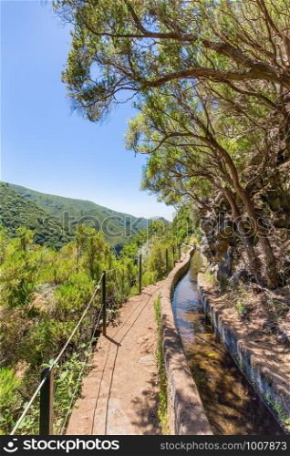 Portuguese landscape with levada and trees on Madeira