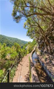 Portuguese landscape with levada and trees on Madeira