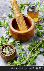 Portulaca stalks.Medicinal herbs.Wooden mortar with pestle, portulac tincture.Natural herbal medicine. Purslane medicinal plant