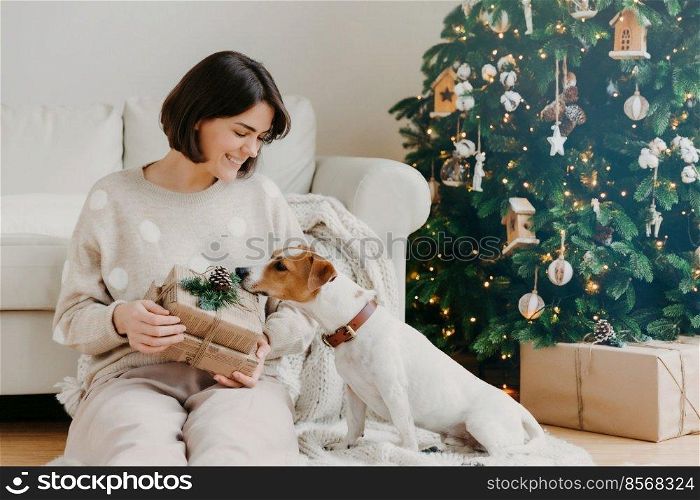 Positive brunette woman holds gift box, spends free time together with pedigree dog, pose in living room on floor with beautiful decorated Christmas tree. Winter holidays and celebration concept