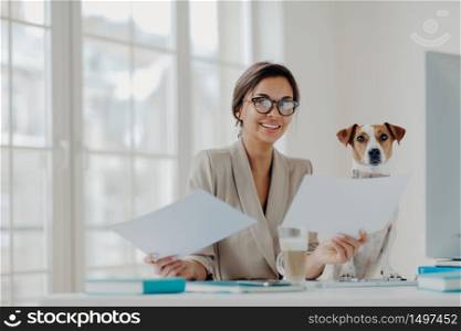 Positive female entrepreneur poses at workplace, holds paper documents, sits in front of computer, wears optical glasses for vision correction, jack russel terrier dog near. Building online business