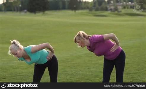 Positive fitness adult women in sports clothes doing stretching exercises with trunk bending on park lawn. Two sporty senior females working out, doing tilts around and physical exercises during training on fresh air.