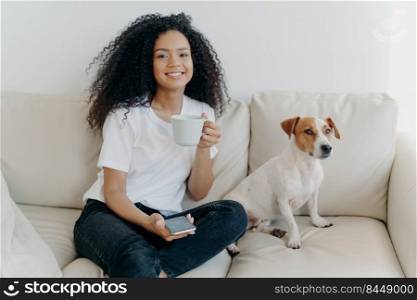 Positive lovely teenage girl with glad expression, texts message in social media, uses app on cellular, connected to wireless internet, poses on couch with dog, drinks tea, spends free time at home.