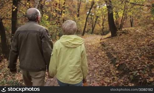 Positive senior couple embracing while walking through autumn park. Romantic elderly couple in love enjoying leisure and relaxing on fresh air in colorful autumn park during indian summer. Steadicam stabilized shot. Slow motion. Back view.