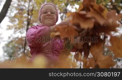 Positive teenage girl in pink jacket and eyeglasses throwing yellow maple leaves up in autumn park. Low angle view. Closeup. Beautiful girl playing with fall foliage outdoors over colorful fall background.