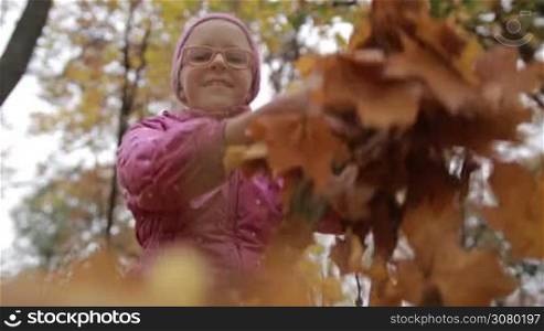 Positive teenage girl in pink jacket and eyeglasses throwing yellow maple leaves up in autumn park. Low angle view. Closeup. Beautiful girl playing with fall foliage outdoors over colorful fall background.