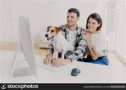 Positive young wife and husband read publication online, sit in front of computer, watch favourite film or movie together with pet. Focus on animal. Couple spend time with modern techhnologies