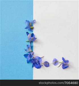 post card with frame of blue flowers on a blue background with white place for text, flat lay. frame of flowers